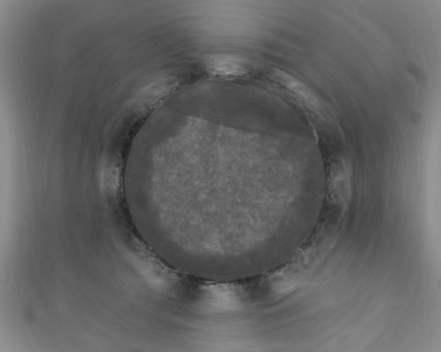 X0000110940417200906261304