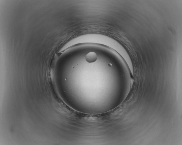 X0000110940419200906261304