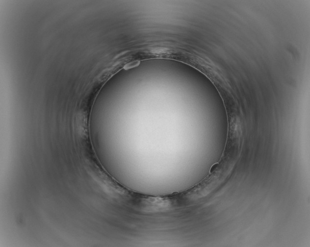 X0000110940421200906261304