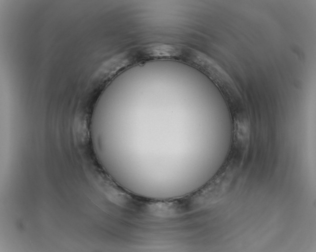 X0000110940422200906261304