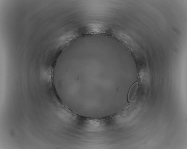 X0000110940423200906261304