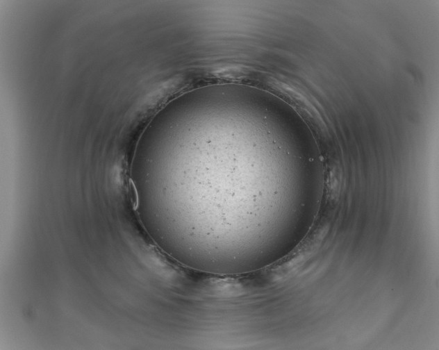 X0000110940424200906261304