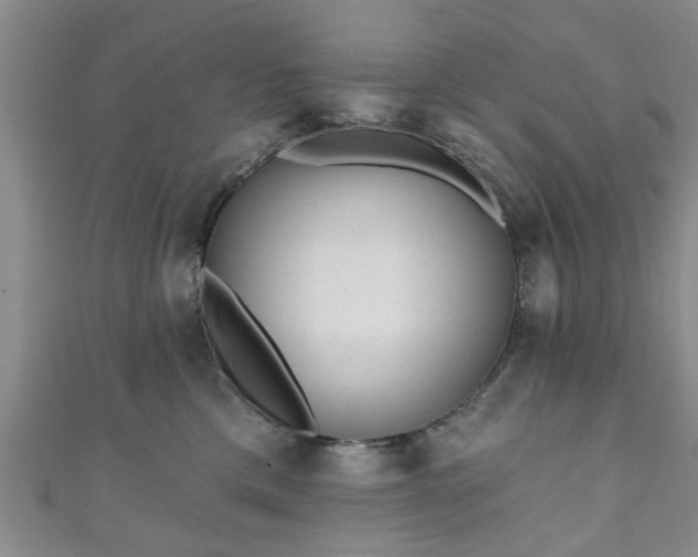 X0000110940425200906261304