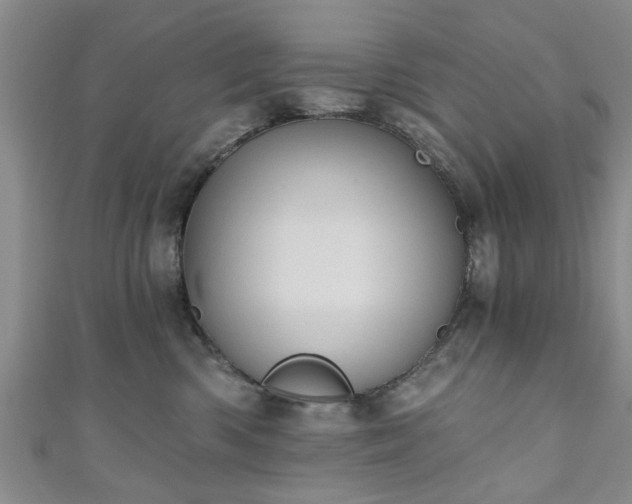 X0000110940426200906261304