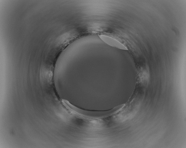 X0000110940427200906261304