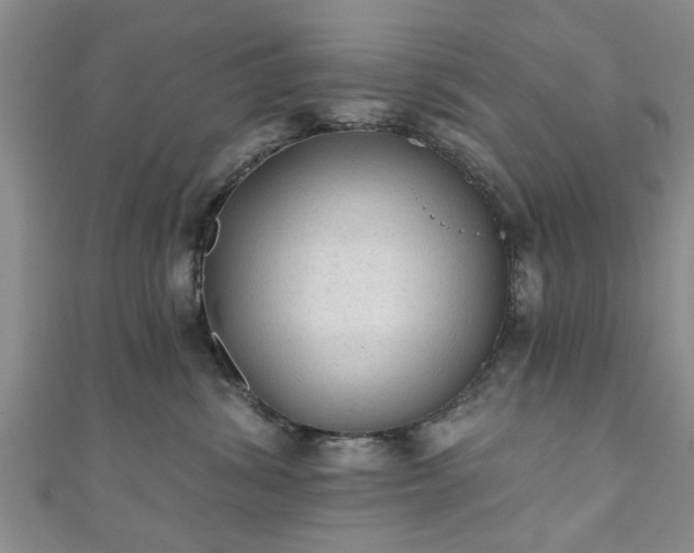 X0000110940428200906261304