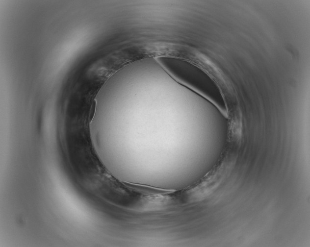 X0000110940429200906261304