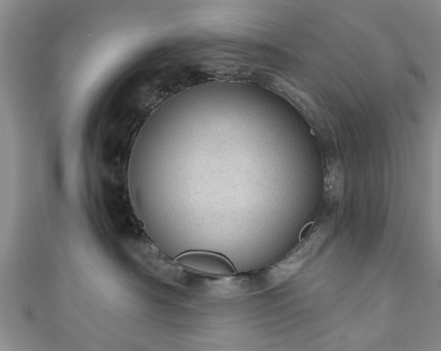 X0000110940430200906261304