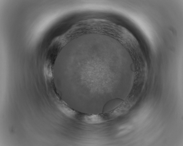 X0000110940431200906261304