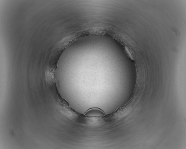 X0000110940432200906261304