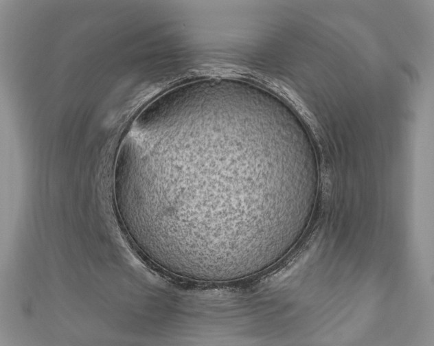 X0000110940433200906261304