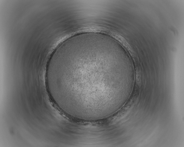 X0000110940434200906261304