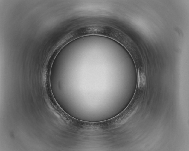 X0000110940435200906261304