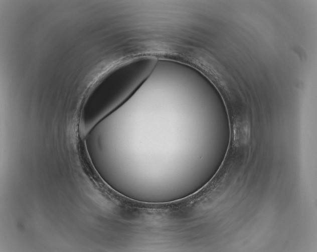 X0000110940436200906261304