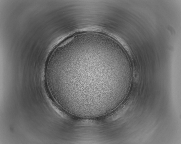 X0000110940437200906261304