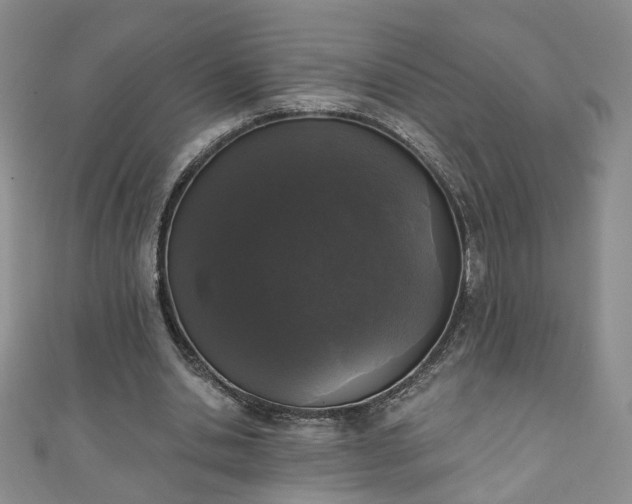 X0000110940438200906261304