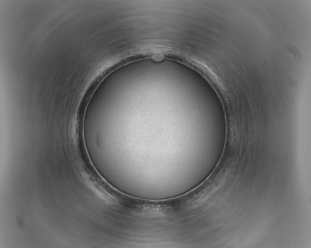 X0000110940439200906261304