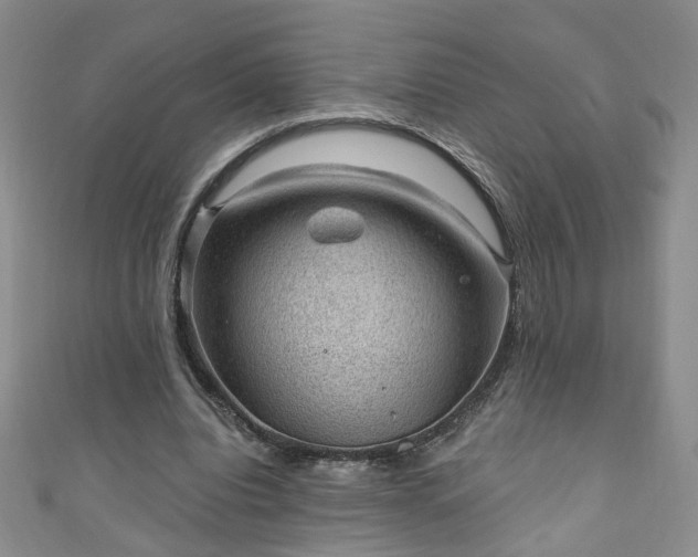 X0000110940440200906261304