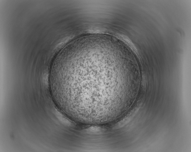 X0000110940441200906261304