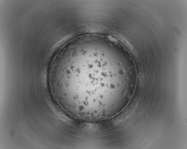 X0000110940442200906261304