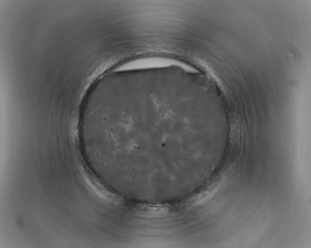 X0000110940443200906261304