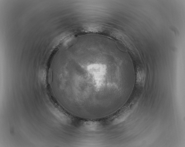 X0000110940444200906261304