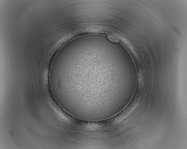 X0000110940445200906261304