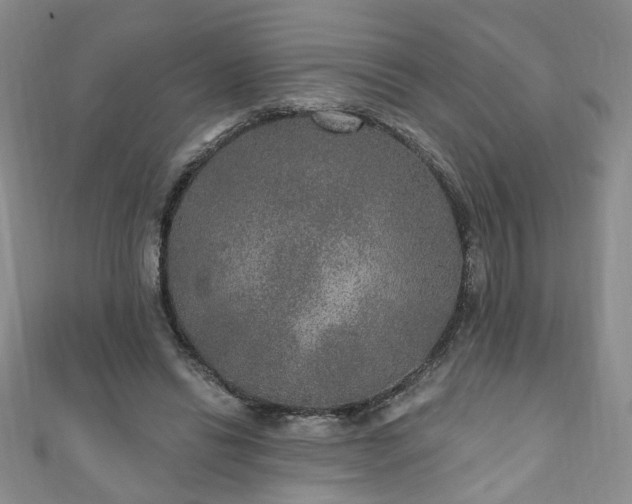 X0000110940446200906261304