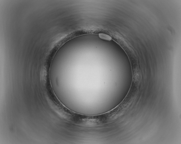 X0000110940448200906261304