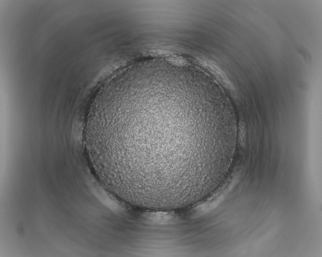 X0000110940449200906261304