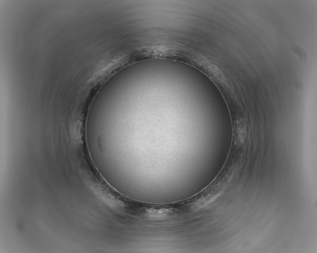 X0000110940450200906261304