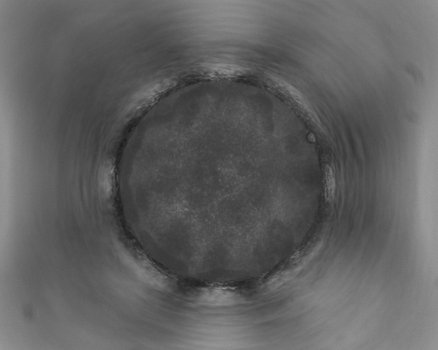 X0000110940451200906261304