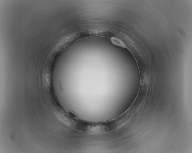 X0000110940452200906261304