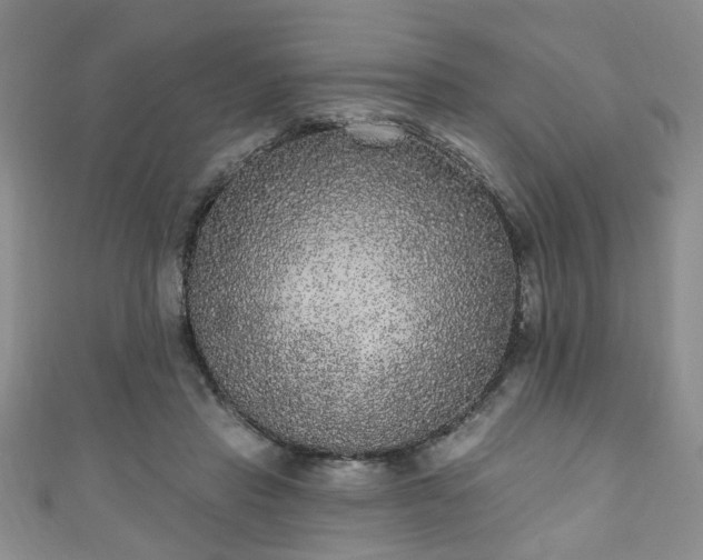 X0000110940453200906261304