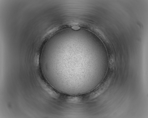 X0000110940454200906261304