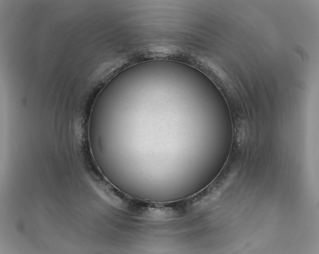 X0000110940455200906261304