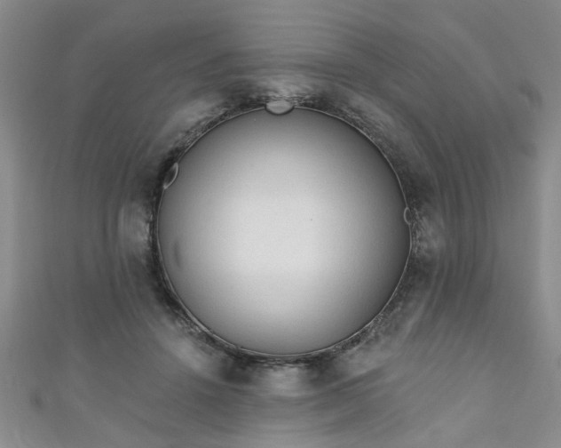 X0000110940456200906261304