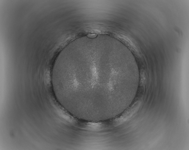 X0000110940457200906261304