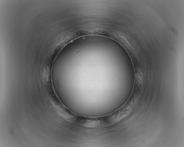 X0000110940458200906261304