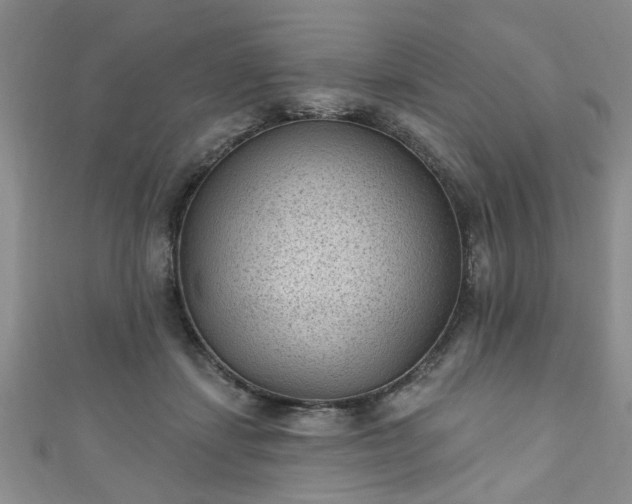 X0000110940459200906261304