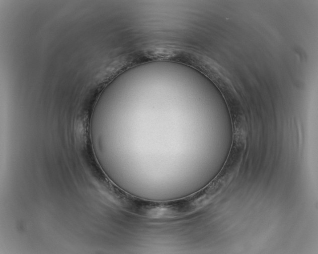 X0000110940460200906261304