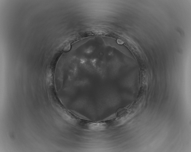 X0000110940465200906261304