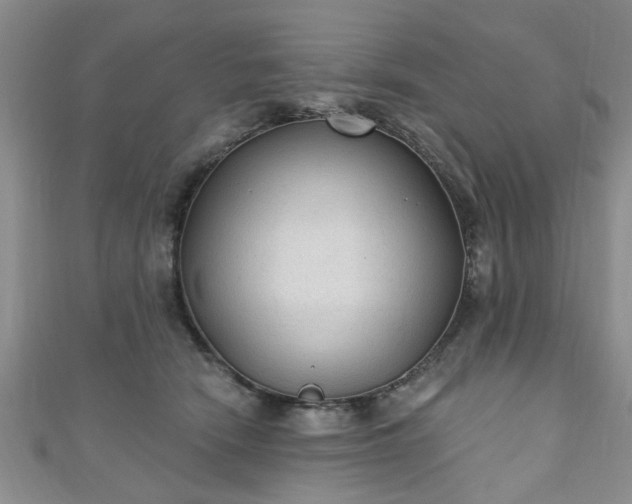 X0000110940466200906261304