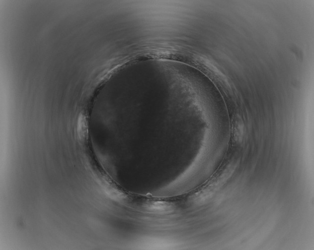 X0000110940467200906261304