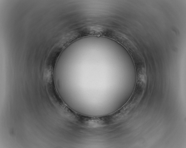 X0000110940468200906261304