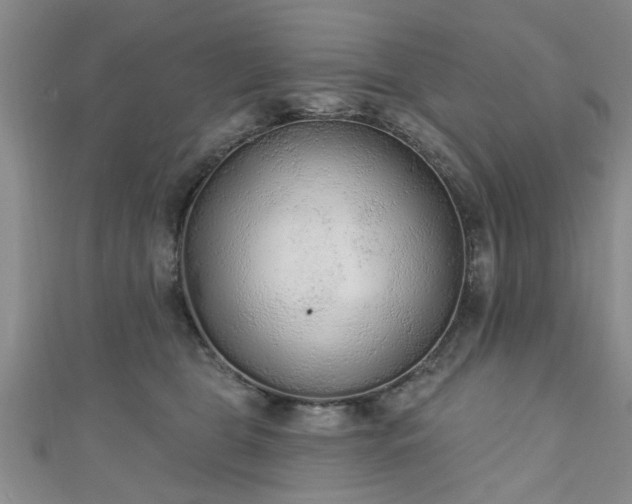 X0000110940469200906261304