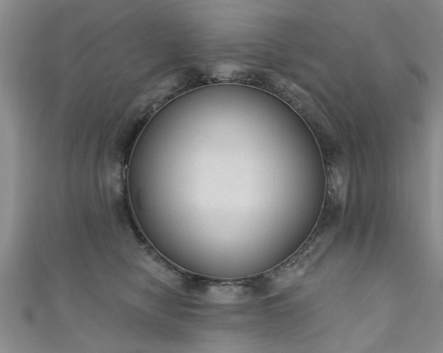 X0000110940470200906261304