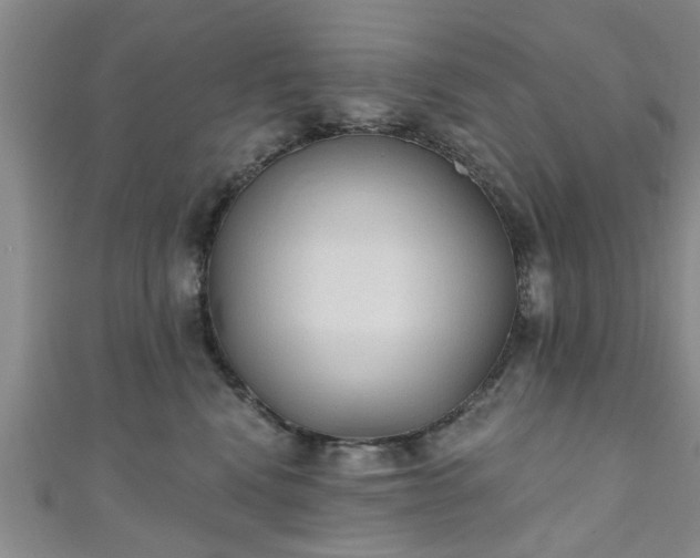 X0000110940472200906261304