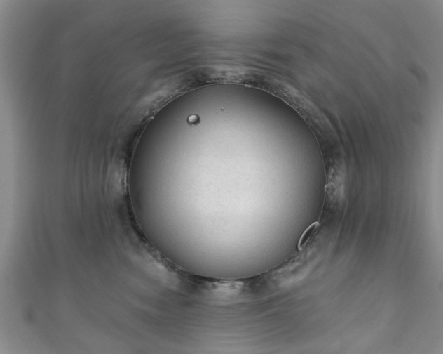 X0000110940474200906261304