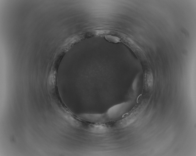 X0000110940475200906261304